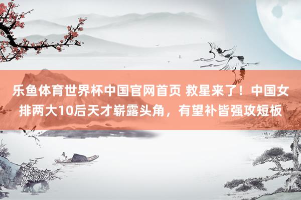 乐鱼体育世界杯中国官网首页 救星来了!中国女排两大10后天才崭露头角,有望补皆强攻短板
