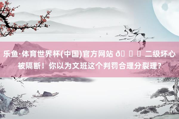 乐鱼·体育世界杯(中国)官方网站 👀二级坏心被隔断！你以为文班这个判罚合理分裂理？