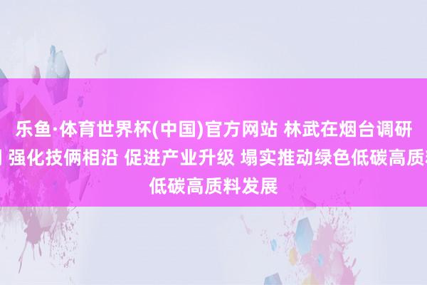 乐鱼·体育世界杯(中国)官方网站 林武在烟台调研时强调 强化技俩相沿 促进产业升级 塌实推动绿色低碳高质料发展
