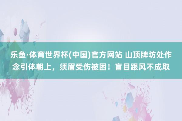 乐鱼·体育世界杯(中国)官方网站 山顶牌坊处作念引体朝上,须眉受伤被困!盲目跟风不成取