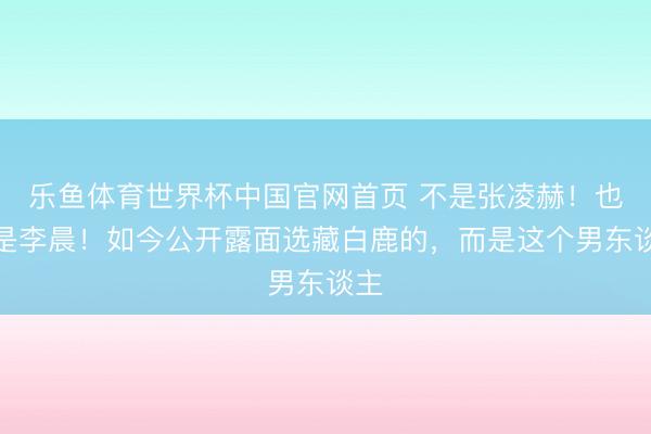乐鱼体育世界杯中国官网首页 不是张凌赫!也不是李晨!如今公开露面选藏白鹿的,而是这个男东谈主
