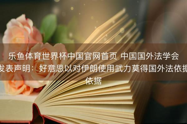 乐鱼体育世界杯中国官网首页 中国国外法学会发表声明:好意思以对伊朗使用武力莫得国外法依据