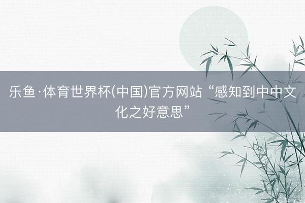 乐鱼·体育世界杯(中国)官方网站 “感知到中中文化之好意思”