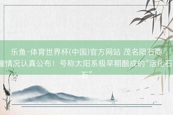 乐鱼·体育世界杯(中国)官方网站 茂名陨石商榷情况认真公布!号称太阳系极早期酿成的“活化石”